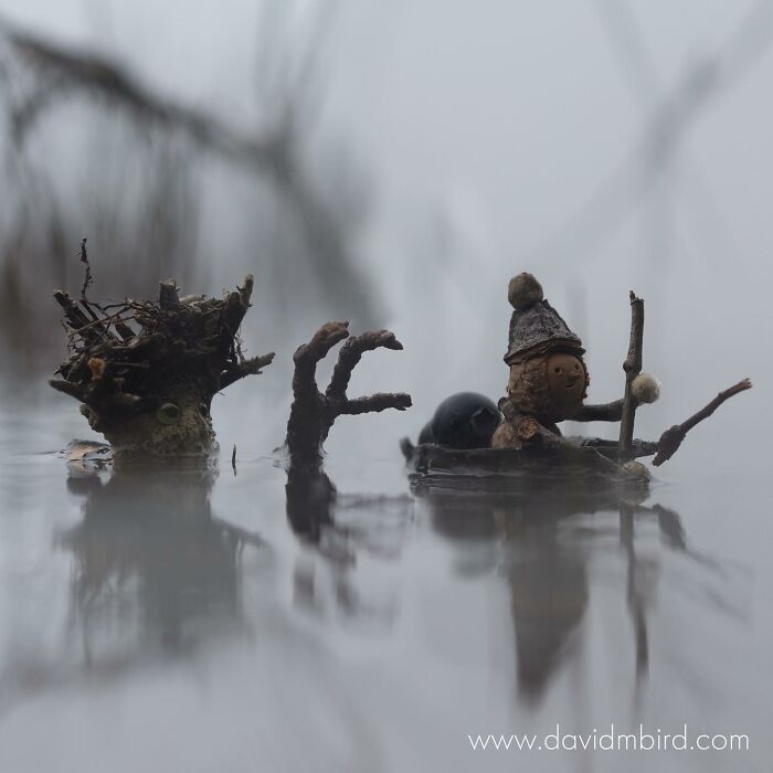 Becorns figurine crafted from acorns and sticks, floating in water, showcasing nature-inspired creativity.