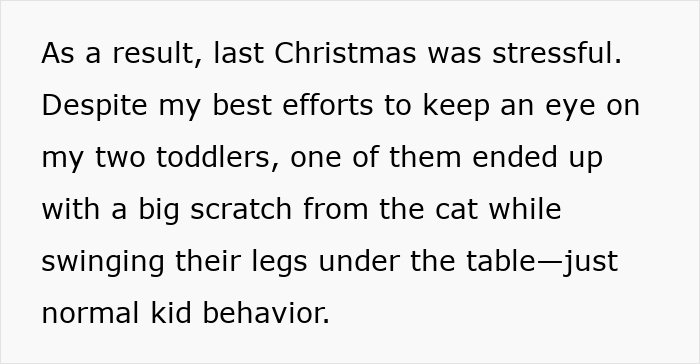Woman Asks, "AIBU To Expect My SIL To Keep Her Aggressive Cat Away During Xmas?"