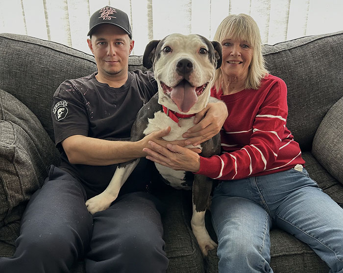A rescued dog sits happily on a couch with two people, ready to celebrate Christmas in her new fur-ever home.