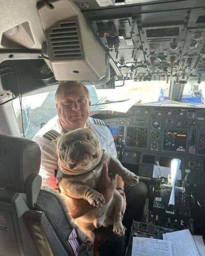 Images-Could-Be-Album-Covers