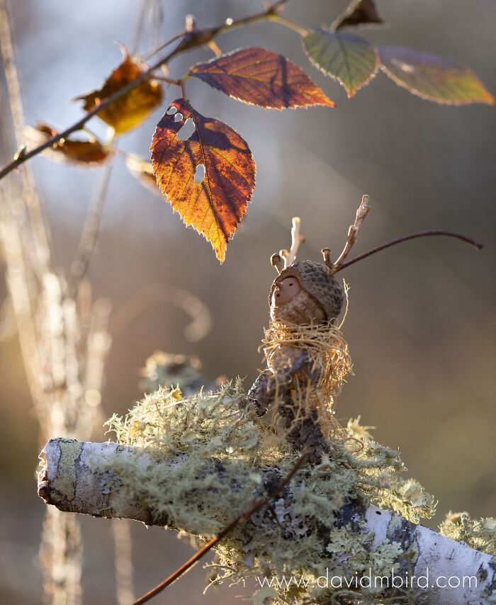 Becorn figure made from acorn and sticks on mossy branch under autumn leaves.