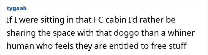 Passenger Gets Dragged For Complaining About Plane Seat He Lost To Dog: “Sorry Dude, Money Talks” Passenger Gets Dragged For Complaining About Plane Seat He Lost To Dog: “Sorry Dude, Money Talks”