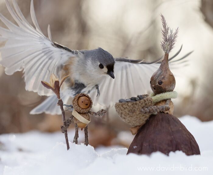 A bird interacts with a "Becorn" figure made of acorns and sticks in a snowy setting.