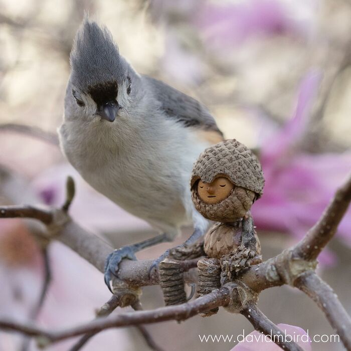 Bird perched beside a whimsical Becorn figure made from acorns and sticks on a tree branch.