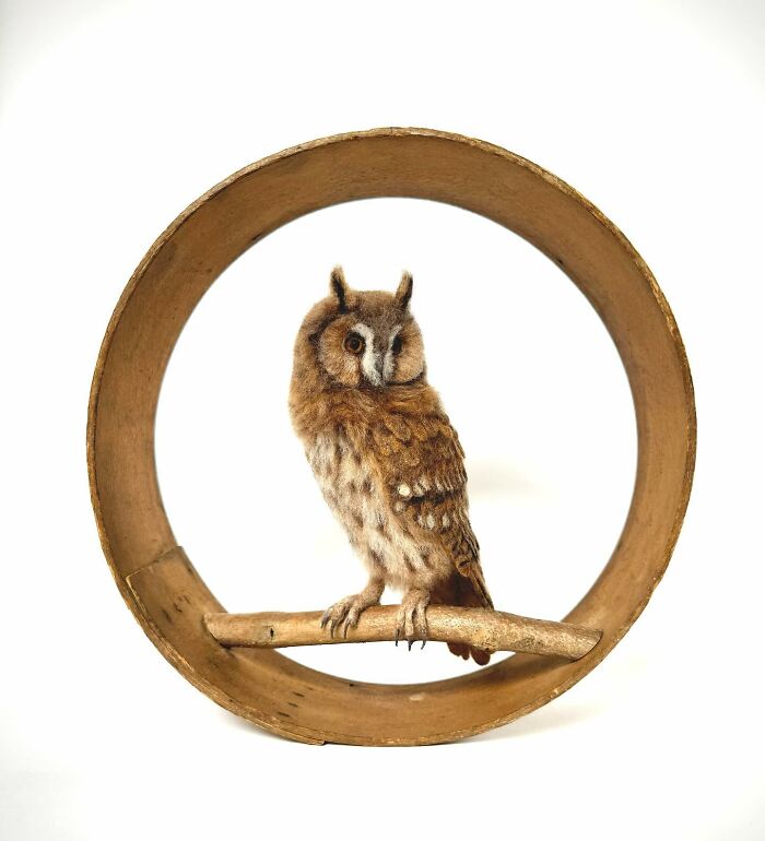 Needle-felted owl perched on a branch within a circular frame by artist, showcasing intricate craftsmanship.
