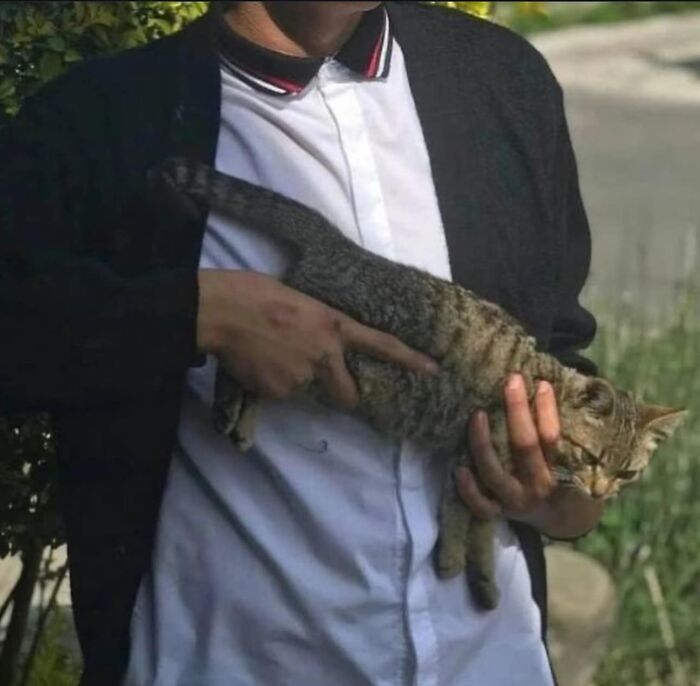 Images-Could-Be-Album-Covers