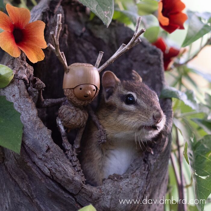 Becorns figure made from acorns and sticks poses with a chipmunk inside a tree hollow, surrounded by leaves and flowers.