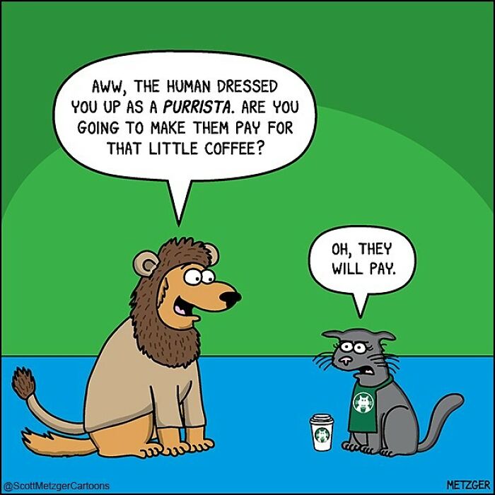 Only Cat And Dog Owners Might Truly Understand These 39 New Cartoons By The Artist Scott Metzger