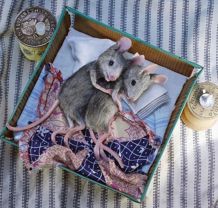 Two felt mice cuddling on patterned fabric in a miniature world by Maggie Rudy.
