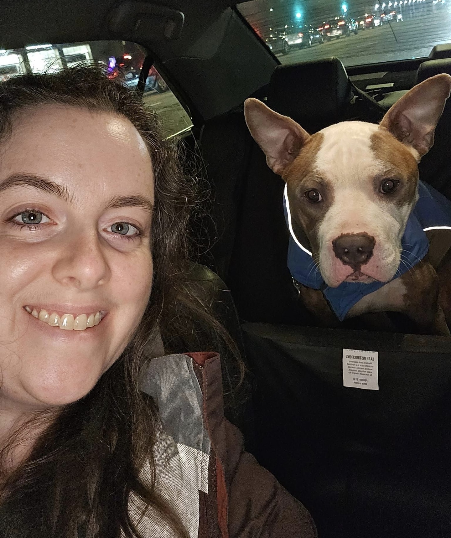 Abandoned Dog Spotted Shivering On A Chicago Bus Bench Finally Gets Help