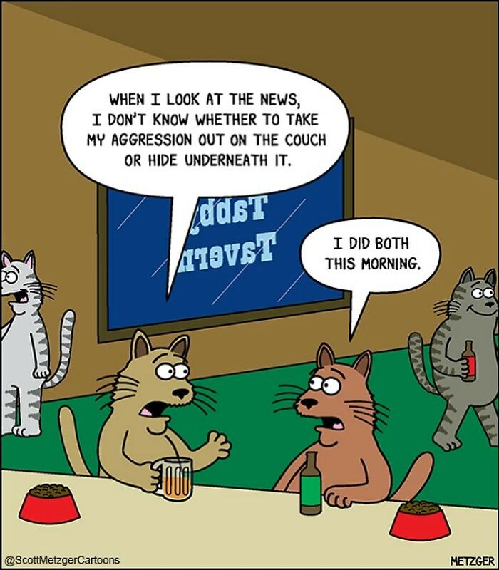 Only Cat And Dog Owners Might Truly Understand These 39 New Cartoons By The Artist Scott Metzger