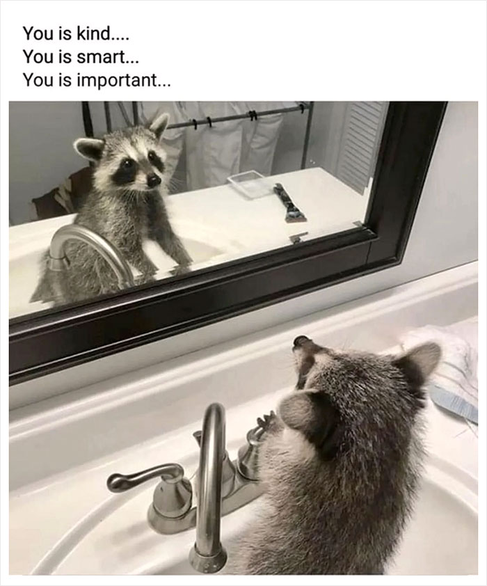 Raccoon admiring itself in the mirror with a thoughtful expression in a bathroom setting.