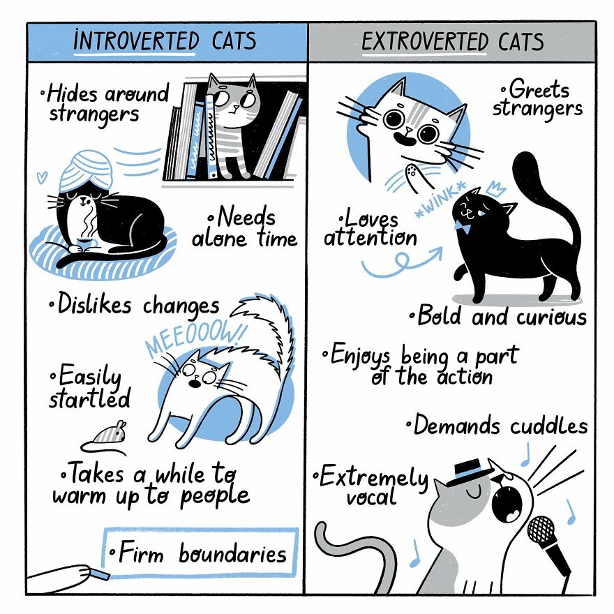 Comic illustrating introverted and extroverted cats by a Ukrainian artist during the war.
