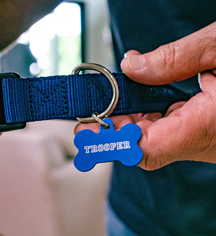 Close-up of a hand holding a dog collar with a blue tag labeled "Trooper" from Hurricane Milton incident. Close-up of a hand holding a dog collar with a blue tag labeled "Trooper" from Hurricane Milton incident.