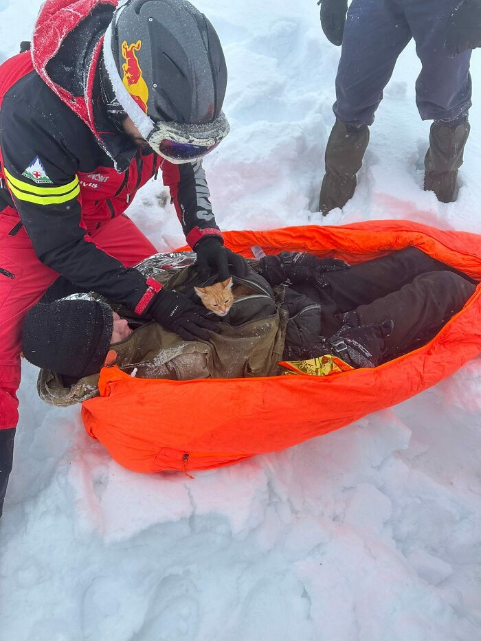 Man rescued from mountain ravine aided by a kitten for warmth, lying in orange stretcher in snowy landscape.