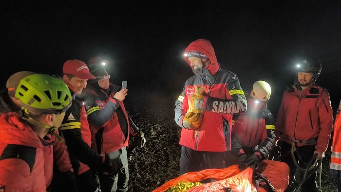 Rescue team saves man from mountain ravine, kitten aids survival by providing warmth.