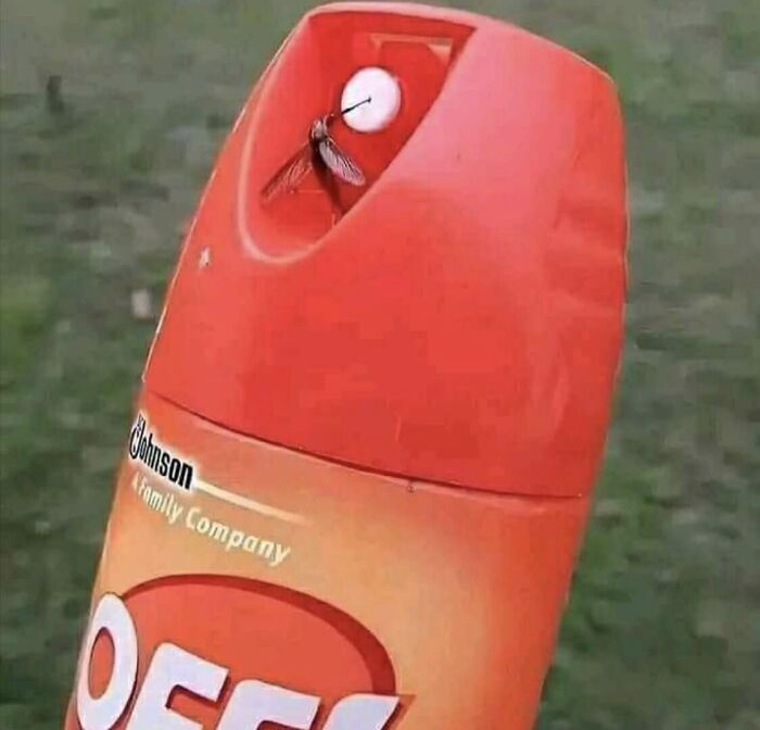 Images-Could-Be-Album-Covers