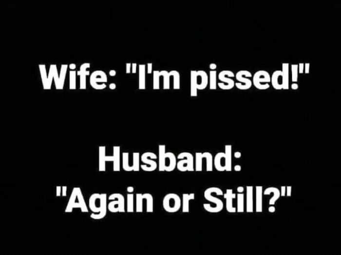 Text post showcasing dad humor with a conversation between a wife and husband.