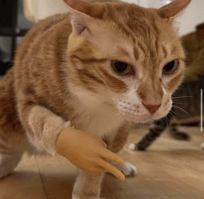 Images-Could-Be-Album-Covers