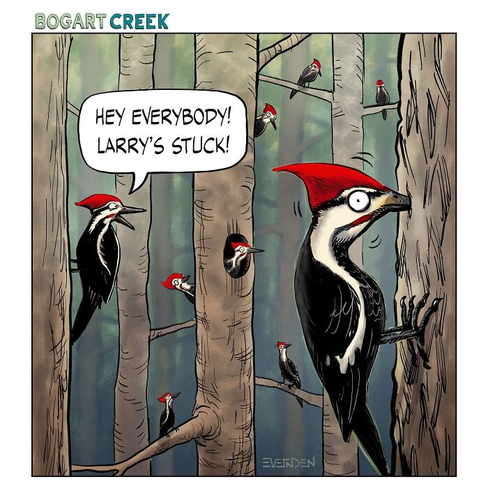 Woodpeckers in a forest, with one saying, "Hey everybody! Larry's stuck!" in a comic by Derek Evernden.