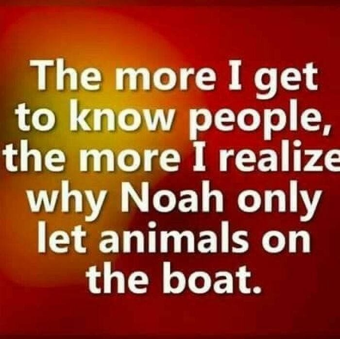 Text on a humorous image about people's behavior compared to Noah's choice of animals.