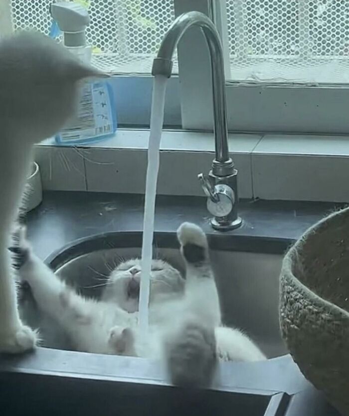 Images-Could-Be-Album-Covers