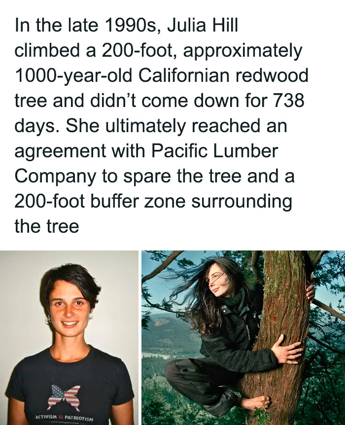 "Chaotic good actions: Woman protests logging by tree-sitting in a redwood, protecting it and surrounding area from deforestation."