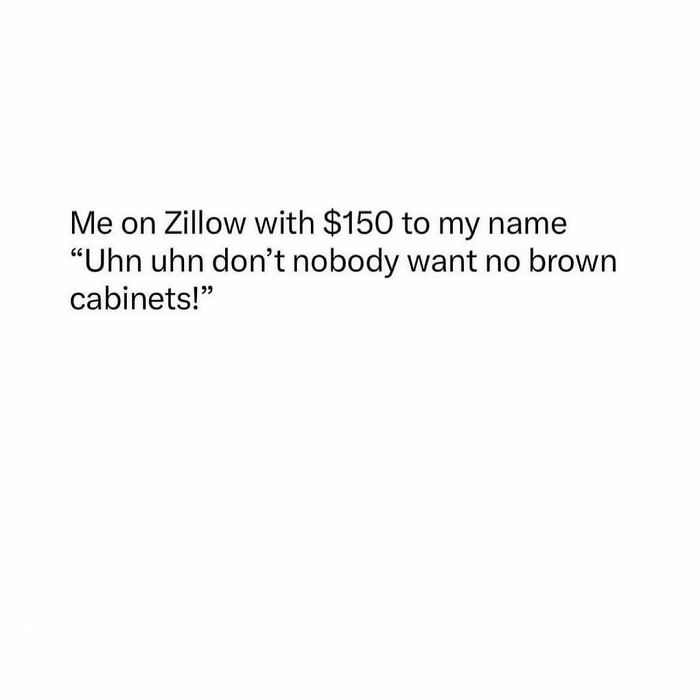 Text meme about house hunting on Zillow with $150, humorously criticizing cabinet color preferences.