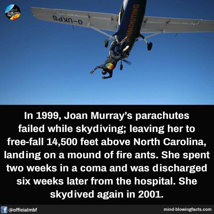 Skydiver free-falling from a plane at high altitude, illustrating a mind-blowing fact about parachute failure.