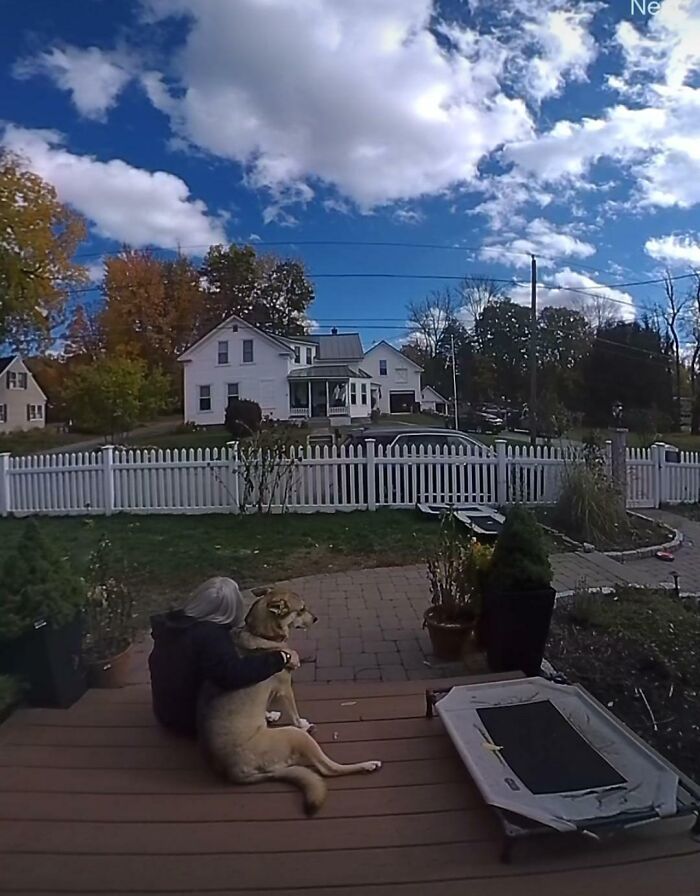 Woman sitting on a porch, hugging a dog with a fenced garden and white house in the background. Perfect day for amazing-mothers-in-law.