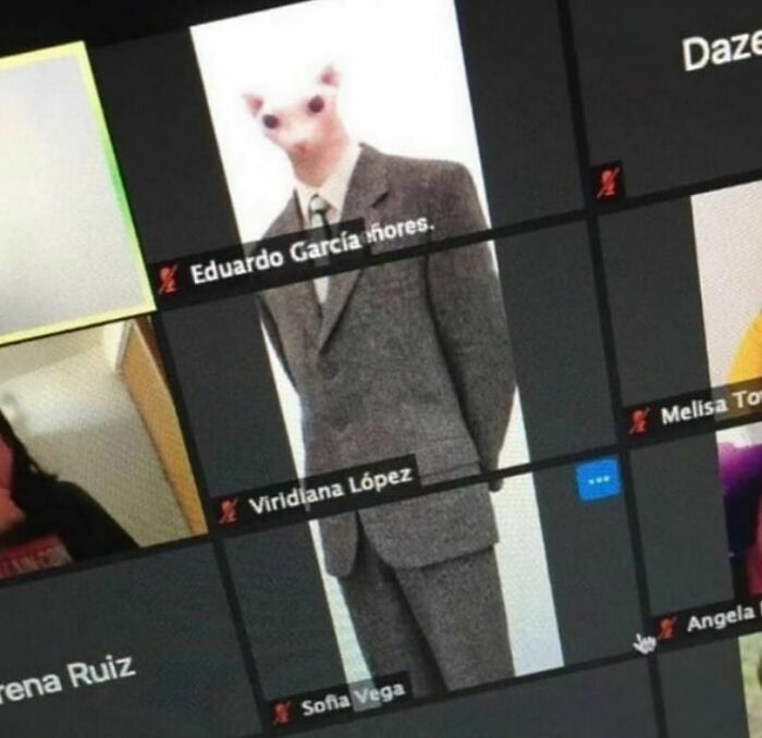 Zoom call screenshot featuring a person in a suit with an animal head, showcasing pics that go hard humor.