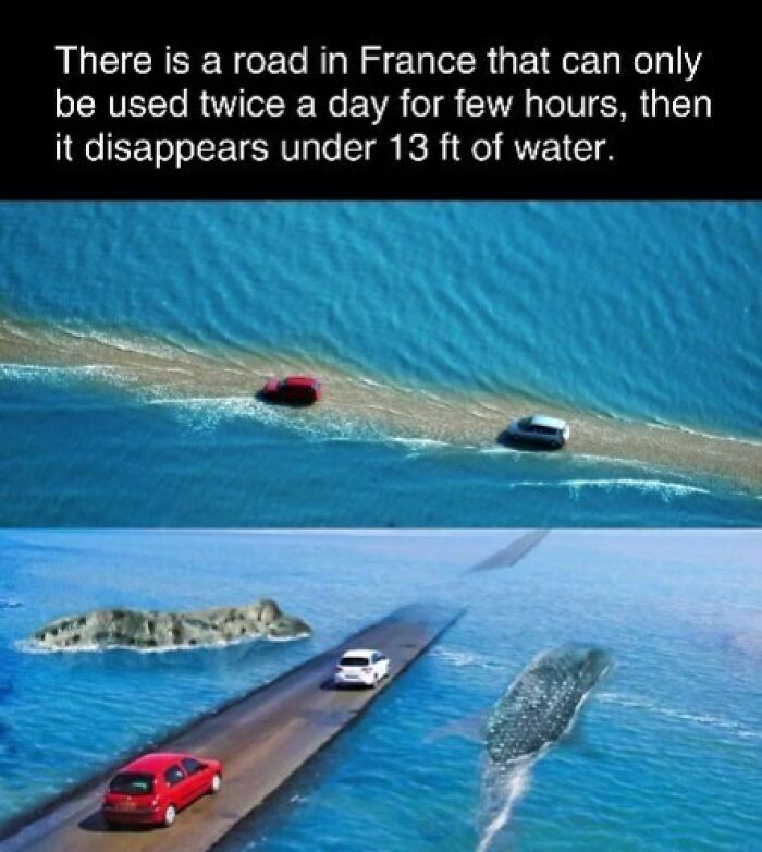 Road in France that submerges under 13 ft of water, with cars driving on it during low tide.