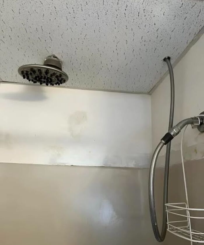 22 Imágenes tan divertidas como disparatadas