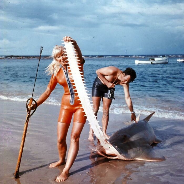 Two divers with a sawfish on the beach, showing its rostrum, showcasing the terrifying side of nature.