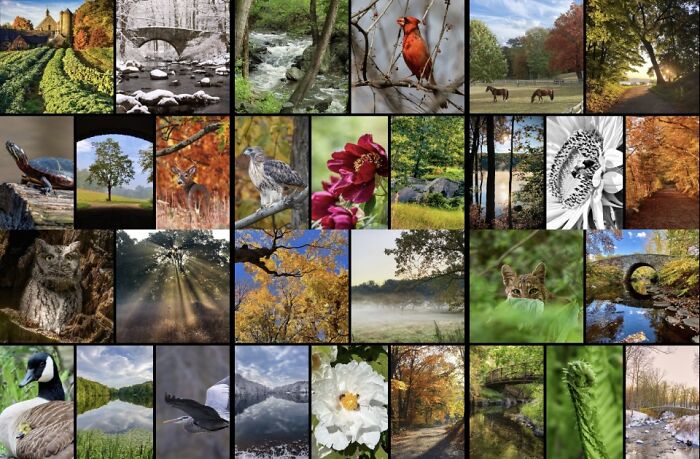 Rockefeller State Park Preserve&rsquo;s Photography Exhibit Showcasing Works Of 30 Photographers