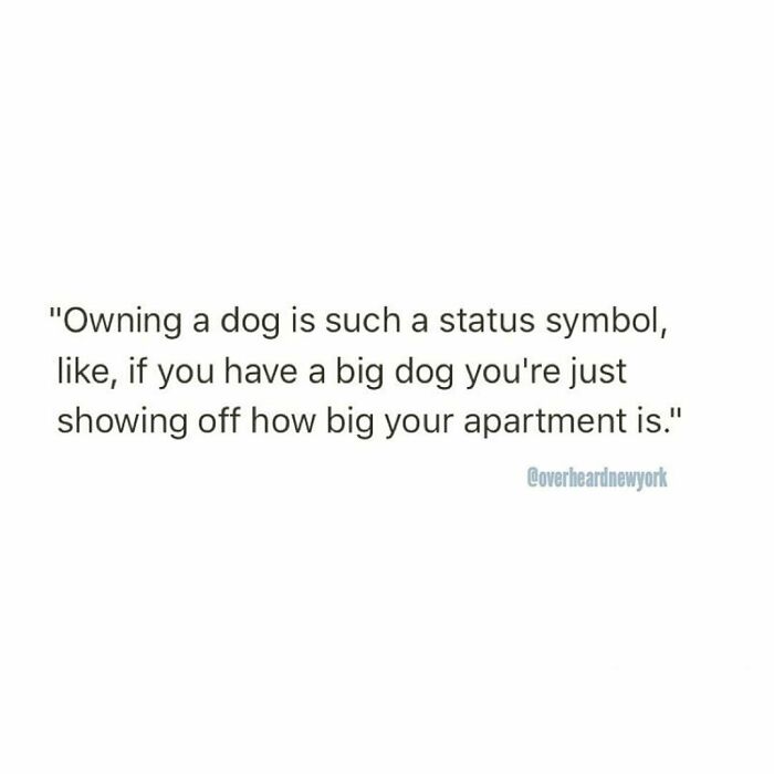 Text post of a wild NYC conversation about owning big dogs as a status symbol showing apartment size.