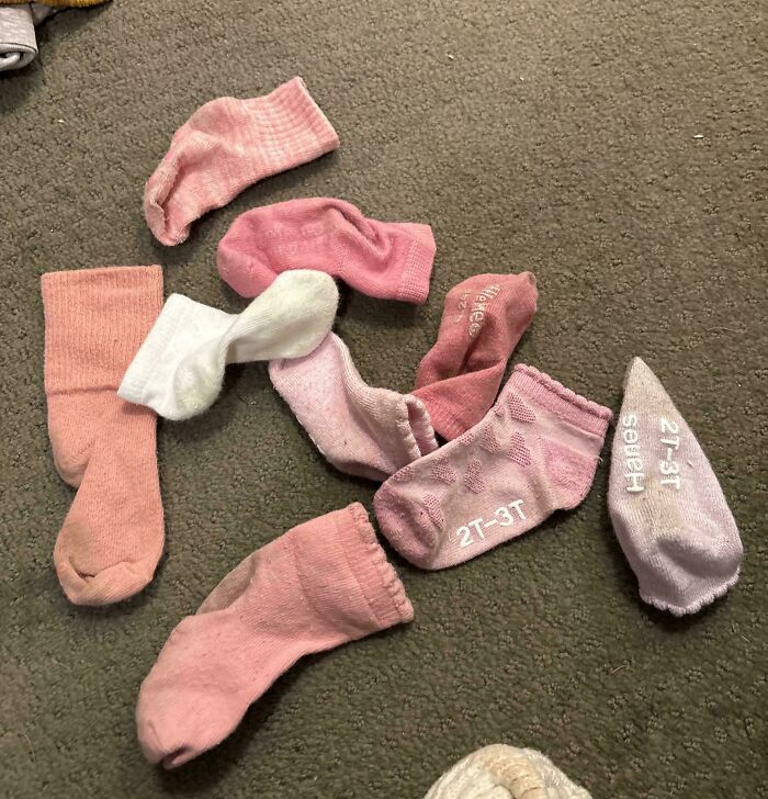 A collection of mismatched pink and white toddler socks scattered on a carpet, showing wholesome and funny dad moments.