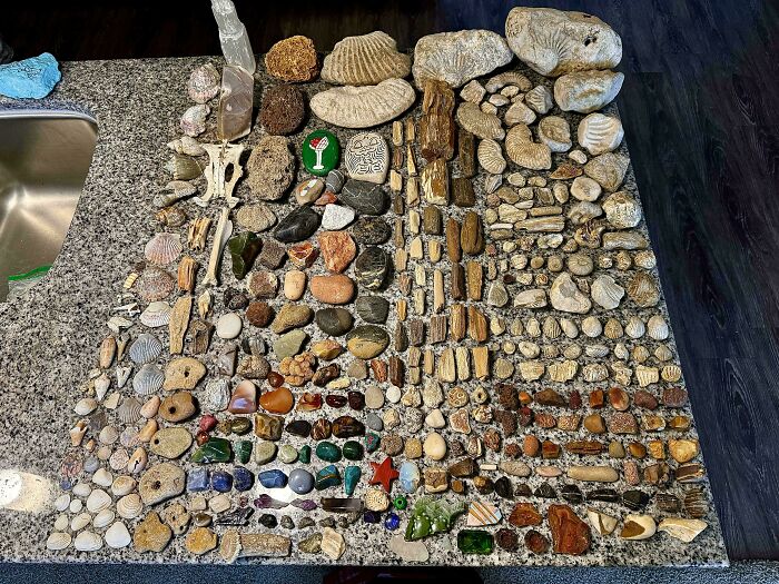 Unique collection of various stones and fossils displayed on a countertop.