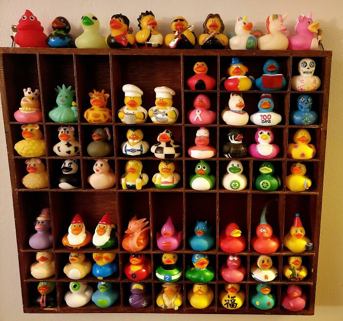 Unique rubber duck collection on wooden shelf showing diverse and colorful designs.