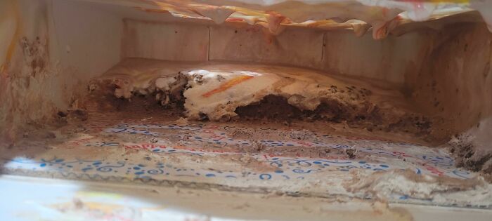 Moldy sandwich in a gift box, exemplifying disappointing presents.