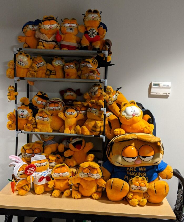 Collection of unique Garfield plush toys on shelves.
