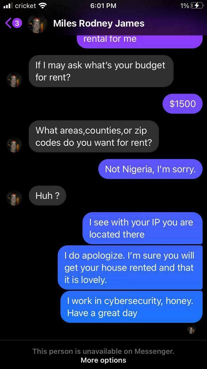 Chat screen showing a cybersecurity expert identifying a scam-text-response about rental inquiries.