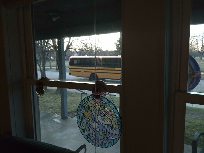 View from a window with a school bus parked outside, representing typical US school experiences.