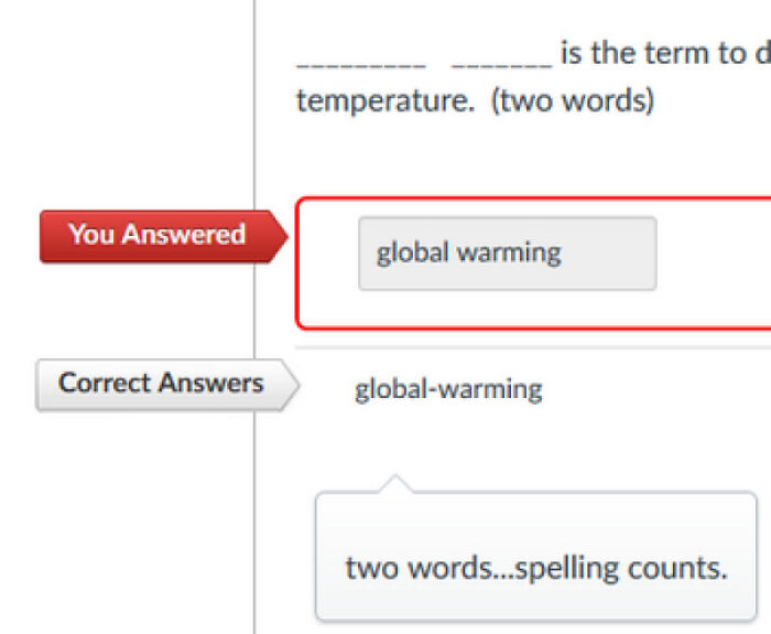Quiz answer marked wrong due to missing hyphen, illustrating horrifying US school experiences.