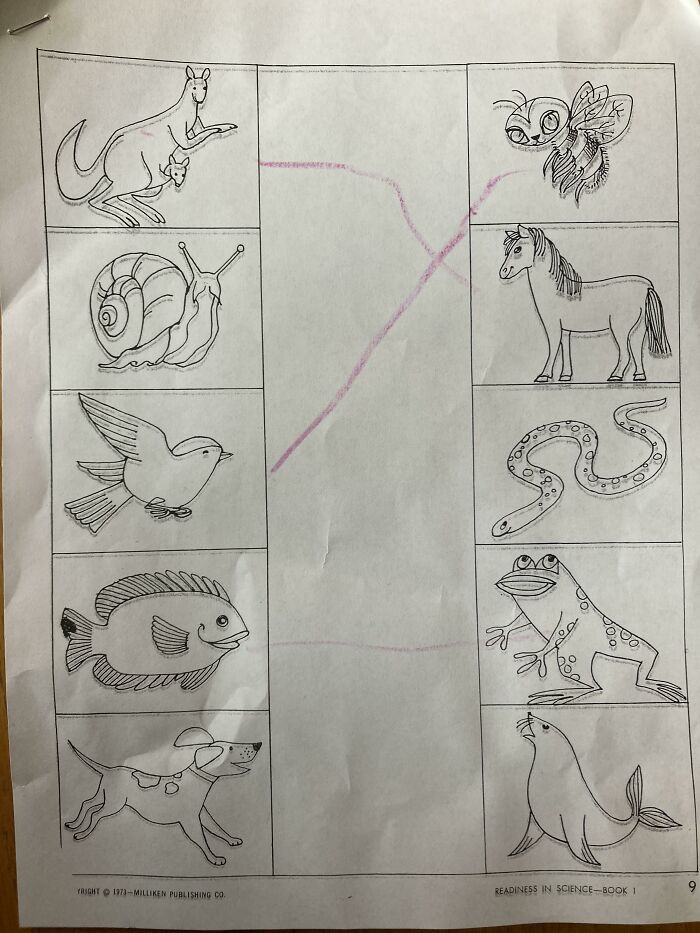 Children's educational worksheet featuring mismatched animal drawings.