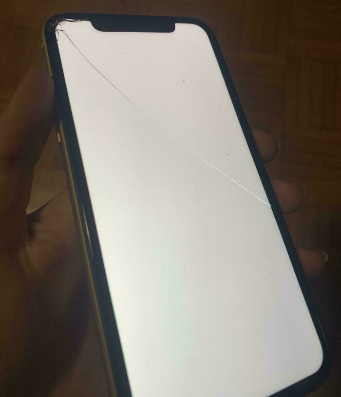 C*****d phone screen, illustrating a common Christmas accident.