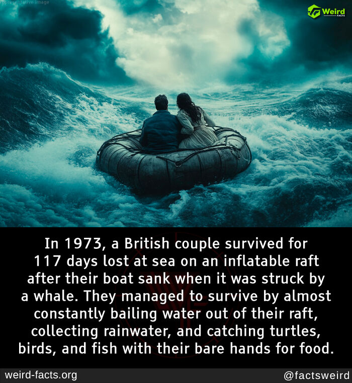 A couple on an inflatable raft in stormy seas, depicting a weird survival story from 1973 involving a whale encounter.