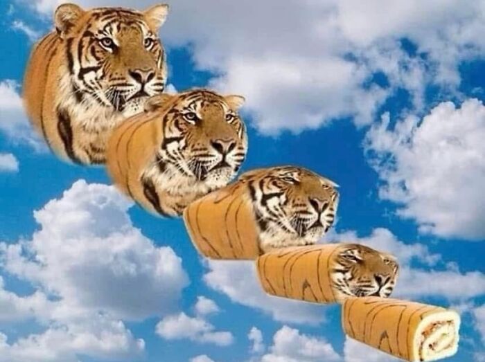 Four tiger heads on Swiss roll bodies, floating in a cloudy sky, showcasing weirdness on an IG page.