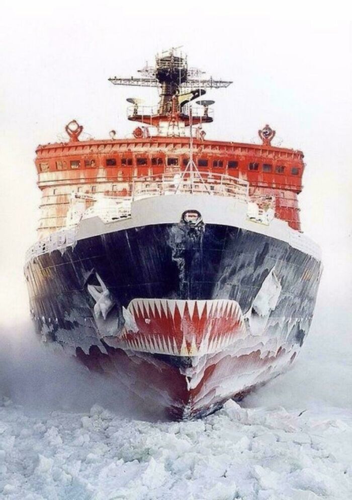 Massive ship breaking through thick ice with a shark face painted on the bow showing megalophobia scale and size.