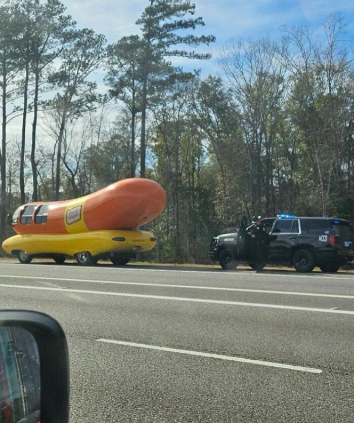 Hot dog car pulled over by police on the road, surrounded by trees.